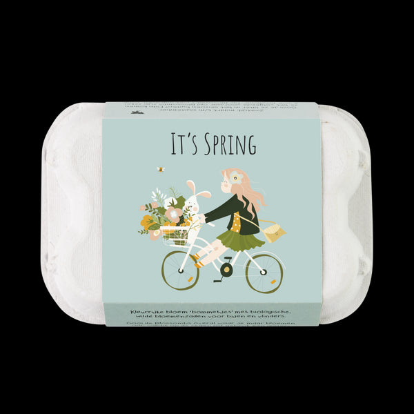 Kvetinové bomby - darčeková krabička s vajíčkom - jar (6 ks)