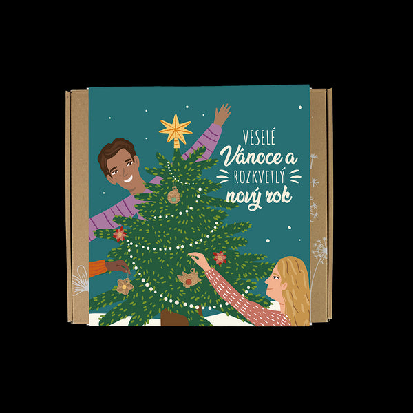 Blossombs Semínkové bomby - Dárková sada střední - Veselé Vánoce (9 ks)