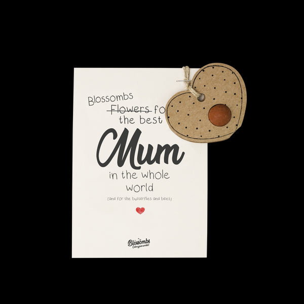 Kvetinová bomba - darčeková dekorácia "Pre najlepšiu mamu" - srdce (1 ks)