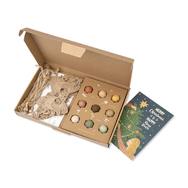 Kvetinové bomby - vianočná sada pre domácich majstrov (9 ks)