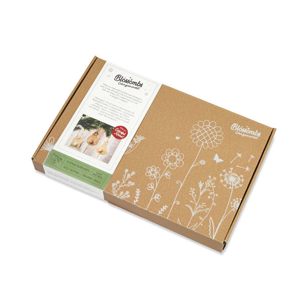 Kvetinové bomby - vianočná sada pre domácich majstrov (9 ks)