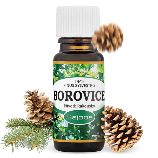 Saloos Esenciální olej Borovice (10 ml)
