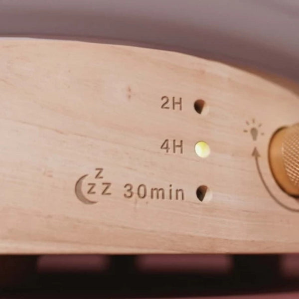 Innobiz Ultrazvukový difuzér a zvlhčovač vzduchu Lisalia Khoi Carp