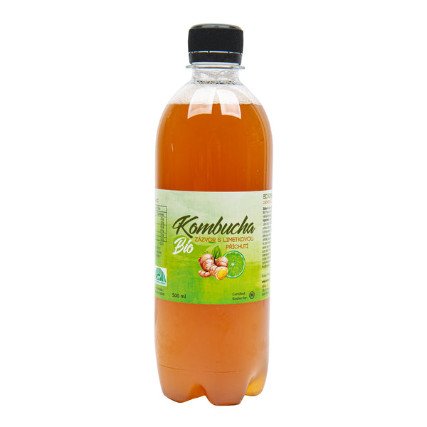 570064 Kombucha zázvor s limetkovou příchutí 500 ml BIO STEVIKOM-2