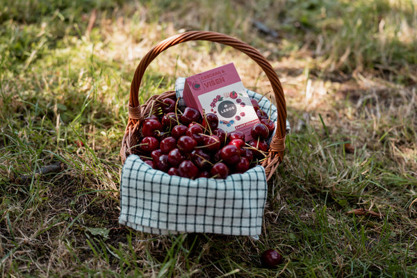 LEROS Čajový dýchánek Višeň & Cascara - nálev. sáčky (20 x 2 g)