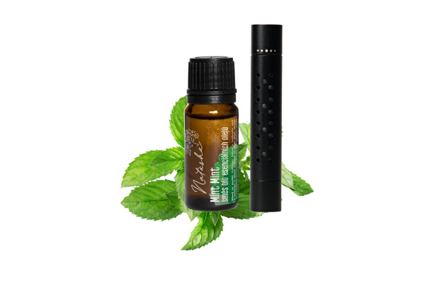 Natasha Sada Difuzér do auta + olej Mint Mint