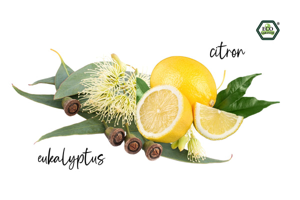 Natasha Sada Difuzér do auta + olej Svěží dobré ráno