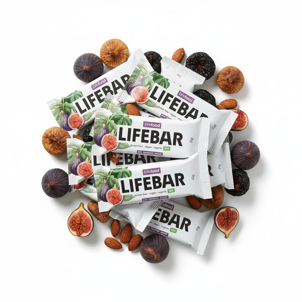 Lifefood Zvýhodněná sada 13 + 2 tyčinky zdarma - Lifebar fíková RAW BIO (15 x 40 g)
