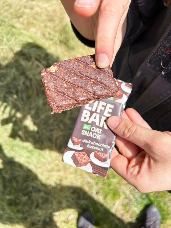 Lifefood Lifebar Oat snack Dark chocolate Hazelnut BIO (40 g)