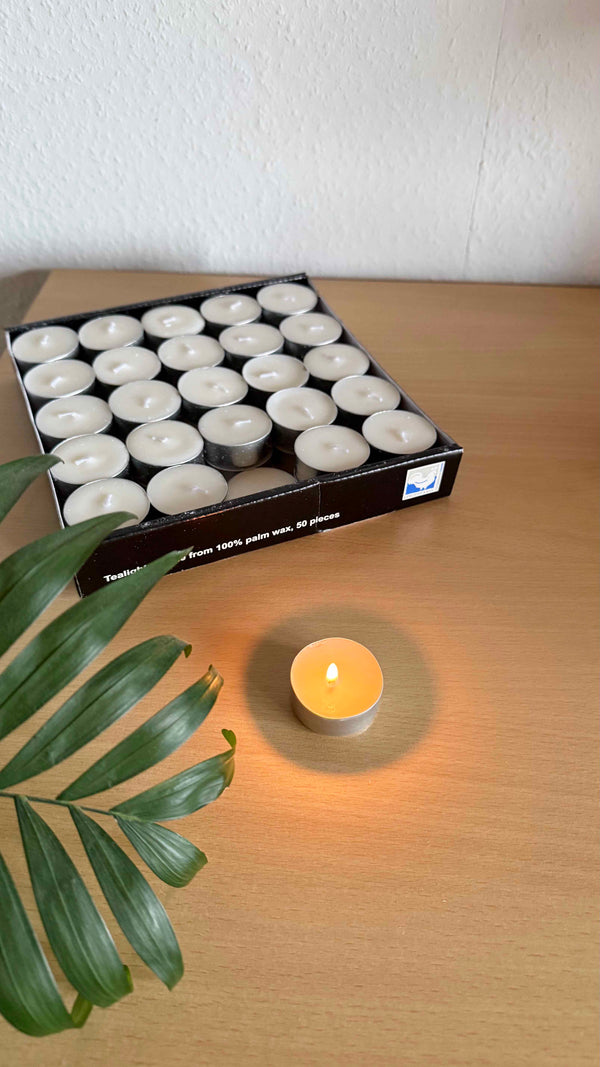 Kerzenfarm Sada čajových svíček z palmového vosku v plechu (50 ks)