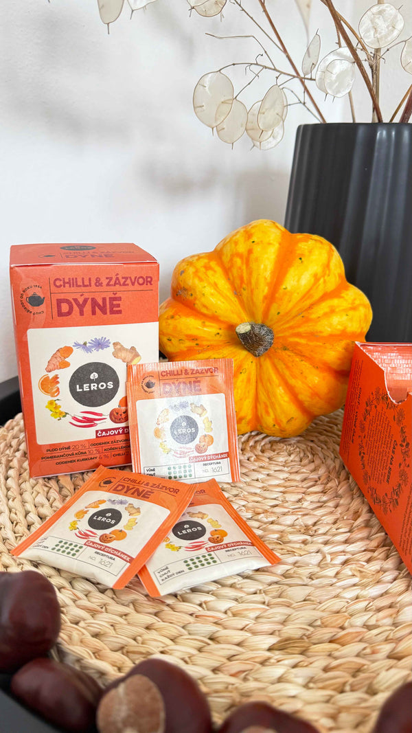 LEROS Čajový dýchánek Chilli, zázvor & dýně - nálev. sáčky (20 x 2 g)