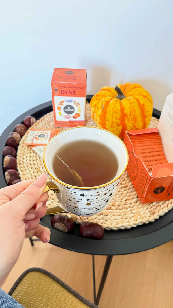 LEROS Čajový dýchánek Chilli, zázvor & dýně - nálev. sáčky (20 x 2 g)