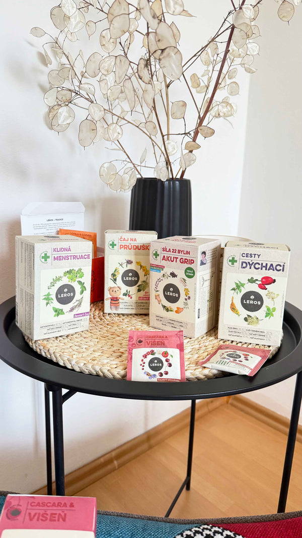 LEROS Bylinný čaj Cesty dýchací - nálev. sáčky (20 x 1,5 g)