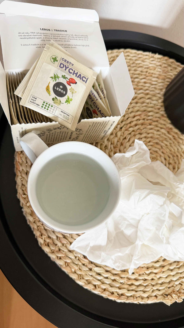 LEROS Bylinný čaj Cesty dýchací - nálev. sáčky (20 x 1,5 g)