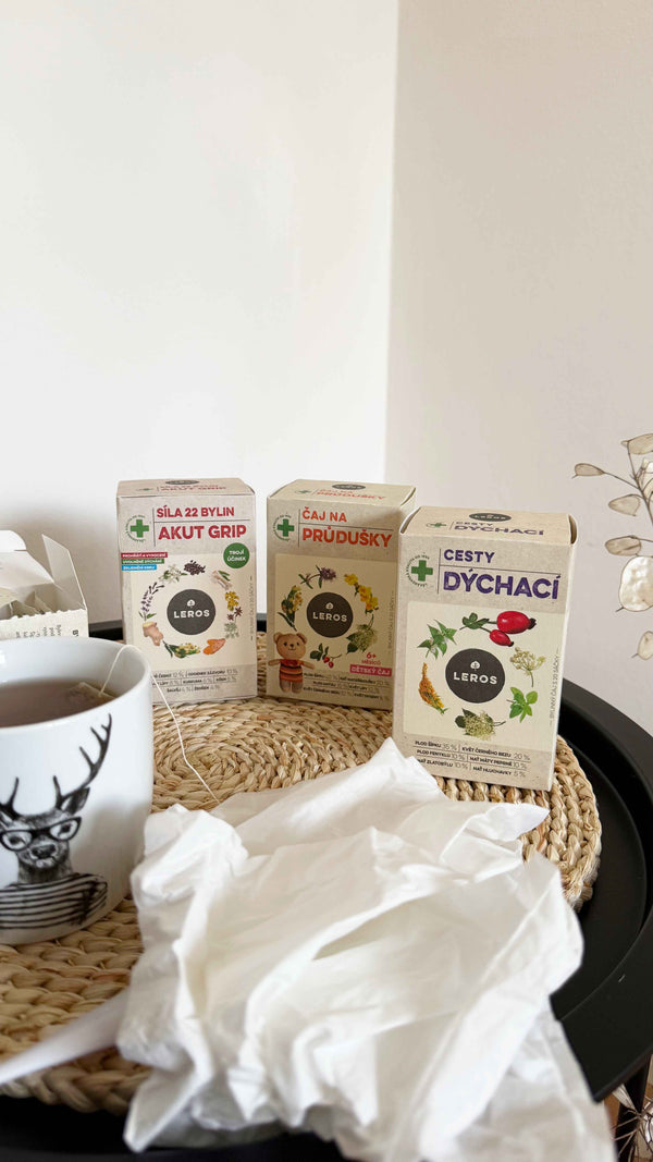 LEROS Bylinný čaj Síla 22 bylin AKUT GRIP - nálev. sáčky (20 x 2,5 g)