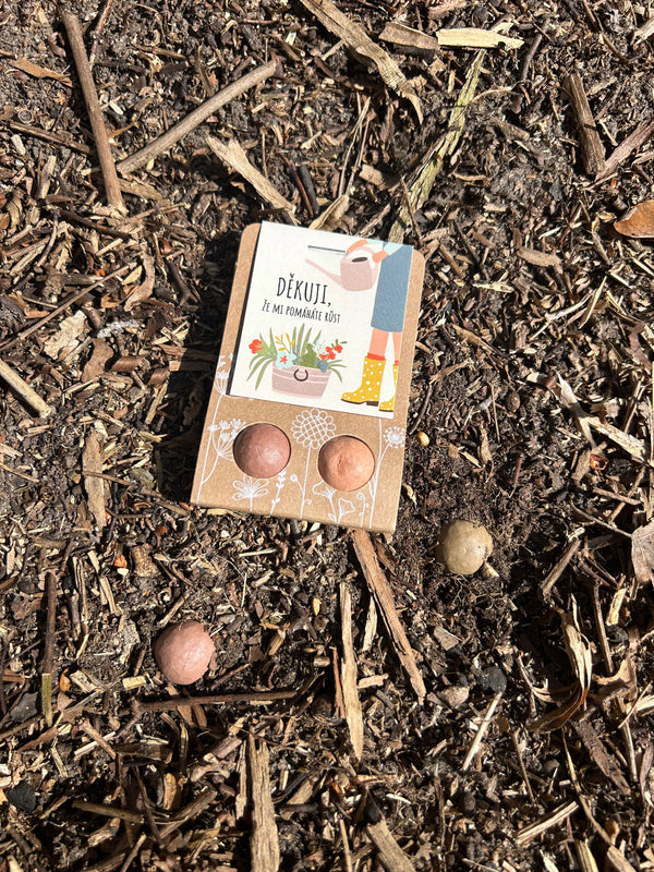 Blossombs Semínkové bomby - Drobný dáreček - Děkuji, že mi pomáháte růst (2 ks)