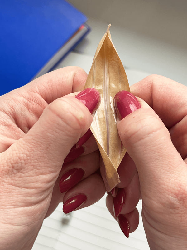 Rastlinná energia Bachove esencie - Veselá školská zmes - pastilky (80 g)