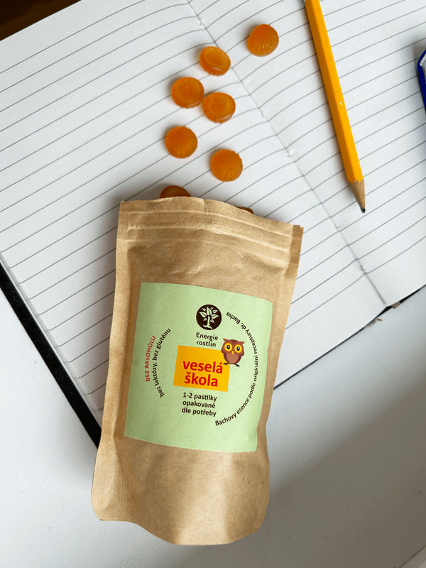 Rastlinná energia Bachove esencie - Veselá školská zmes - pastilky (80 g)