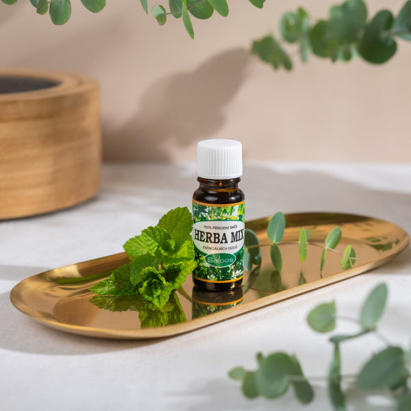 Saloos Směs esenciálních olejů Herba mix (10 ml)