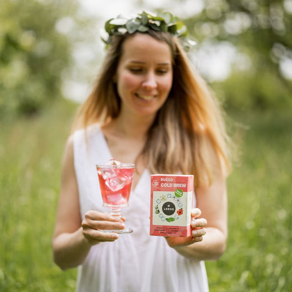 LEROS Bylinná směs Bucco Cold Brew - nálev. sáčky (20 x 1,5 g)