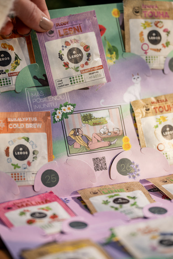 LEROS Čajový kalendář (28 + 1 nálev. sáčků) - Bylinkový únor s čistou hlavou