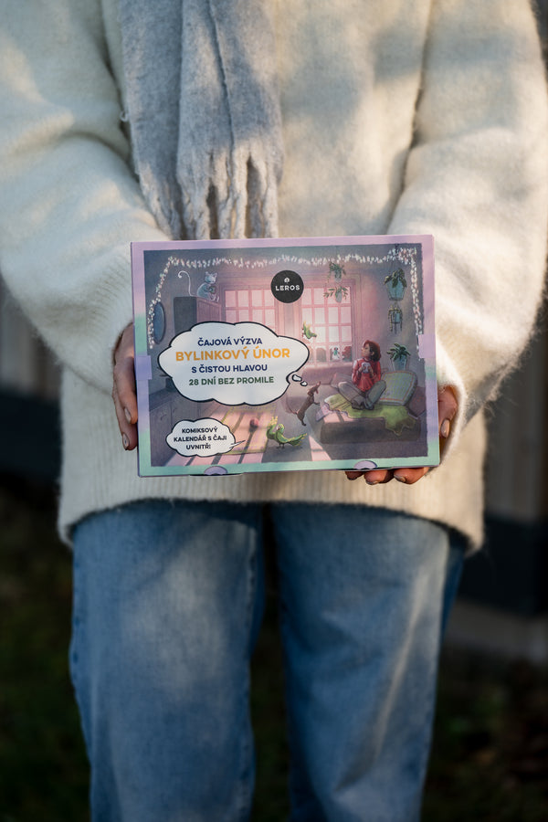 LEROS Čajový kalendář (28 + 1 nálev. sáčků) - Bylinkový únor s čistou hlavou