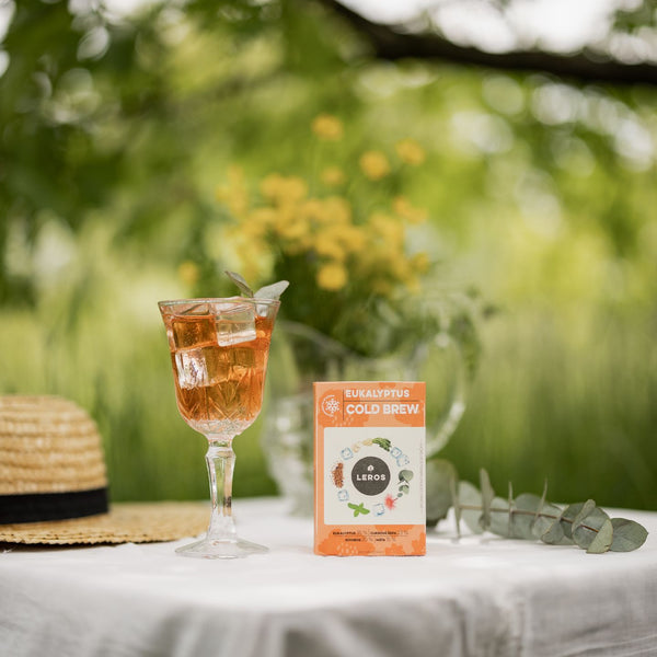 LEROS Bylinná směs Eukalyptus Cold Brew - nálev. sáčky (20 x 1,8 g)