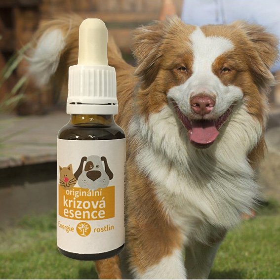 Rastlinná energia Bachove esencie - Krízová esencia pre psy a mačky - kvapky (20 ml)