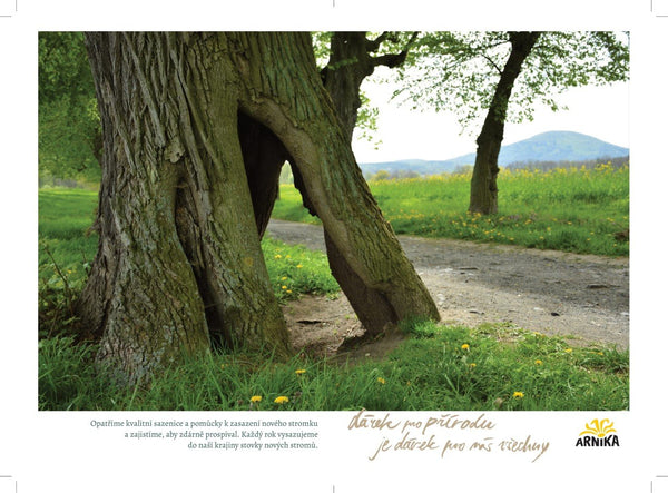Darovacia zmluva Arniky - výsadba stromov