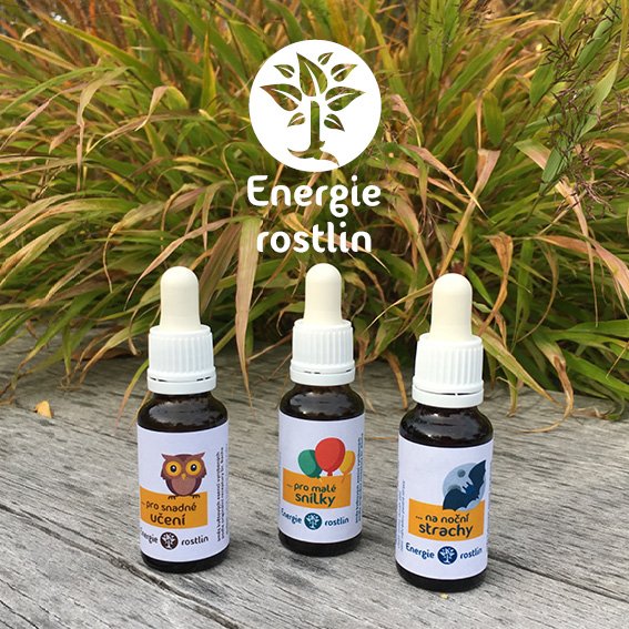 Bachova esencia Rastlinná energia - zmes Jednoduché učenie a testovanie (20 ml)