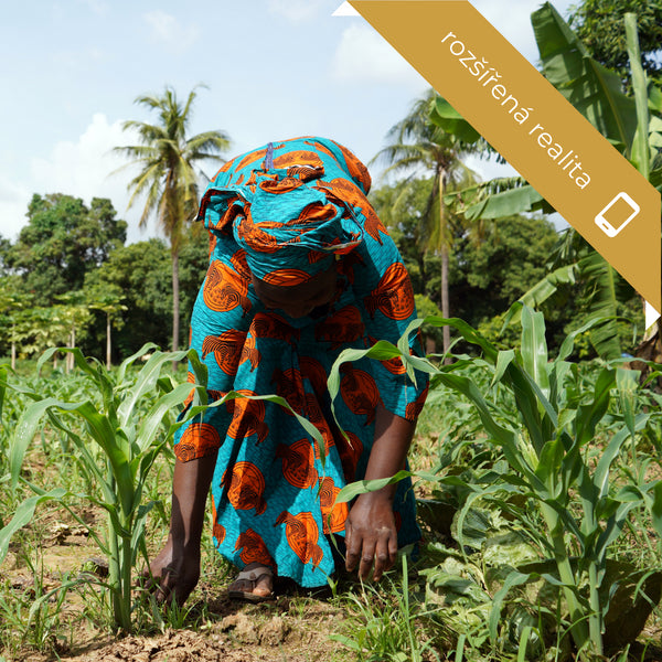 ADRA Nástroje a semená na založenie záhrady