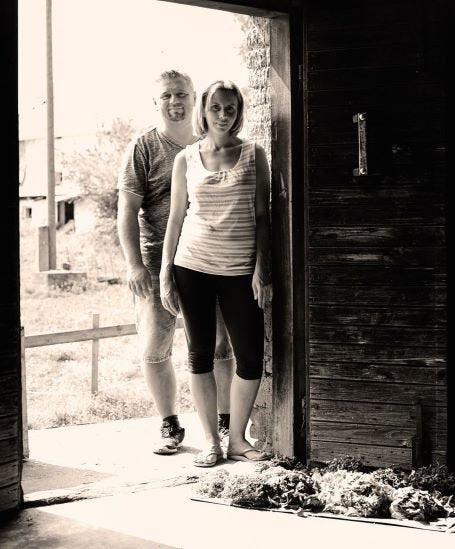 Sonnentor Contryhel loose <tc>BIO</tc> (40 g)