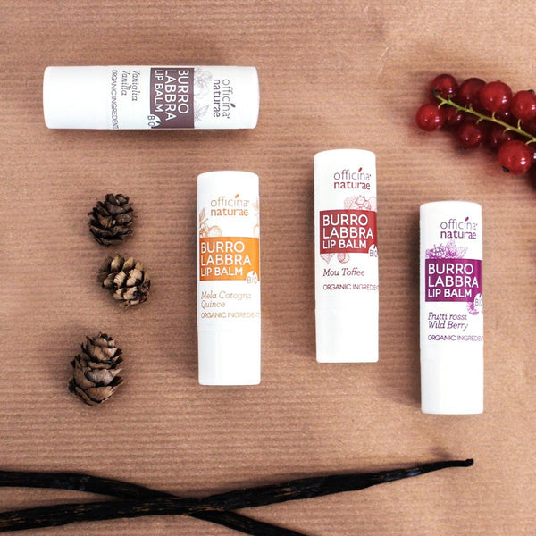 Officina Naturae Balzam na pery Vanilka <tc>BIO</tc> (5 g)