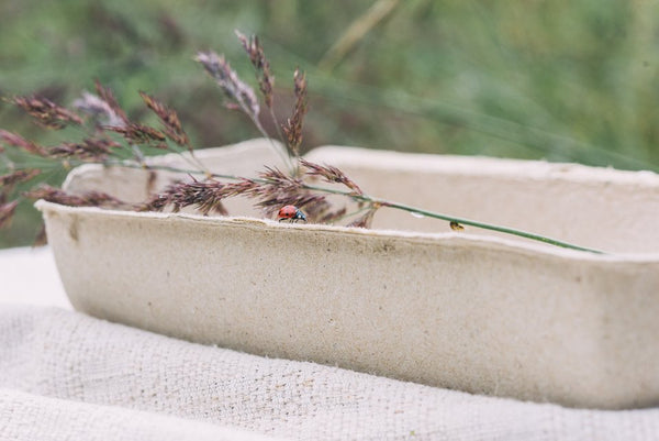 Mulieres Koncentrovaný prací gel (1,5 l) - severský les