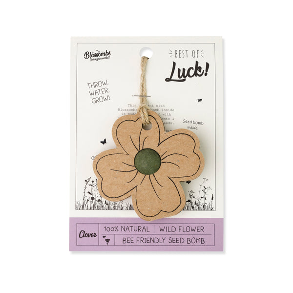 Kvetinová bomba - darčeková dekorácia "Veľa šťastia" - štvorlístok (1 ks)
