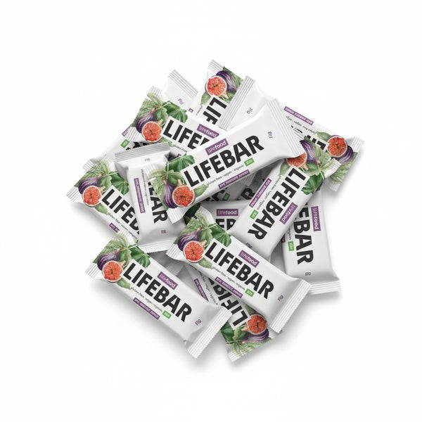 Lifefood Zvýhodněná sada 13 + 2 tyčinky zdarma - Lifebar fíková RAW BIO (15 x 40 g)