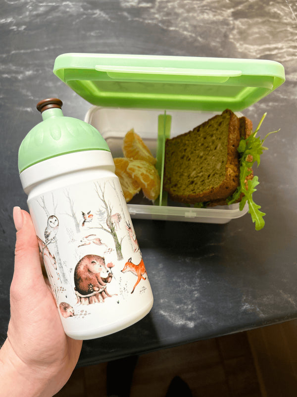 Zdravá fľaša SET krabice a fľaše 0,5 l - Lesné zvieratá