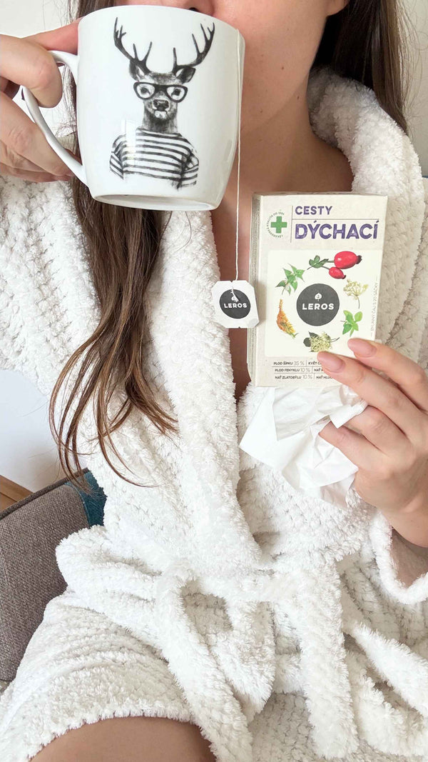 LEROS Bylinný čaj Cesty dýchací - nálev. sáčky (20 x 1,5 g)