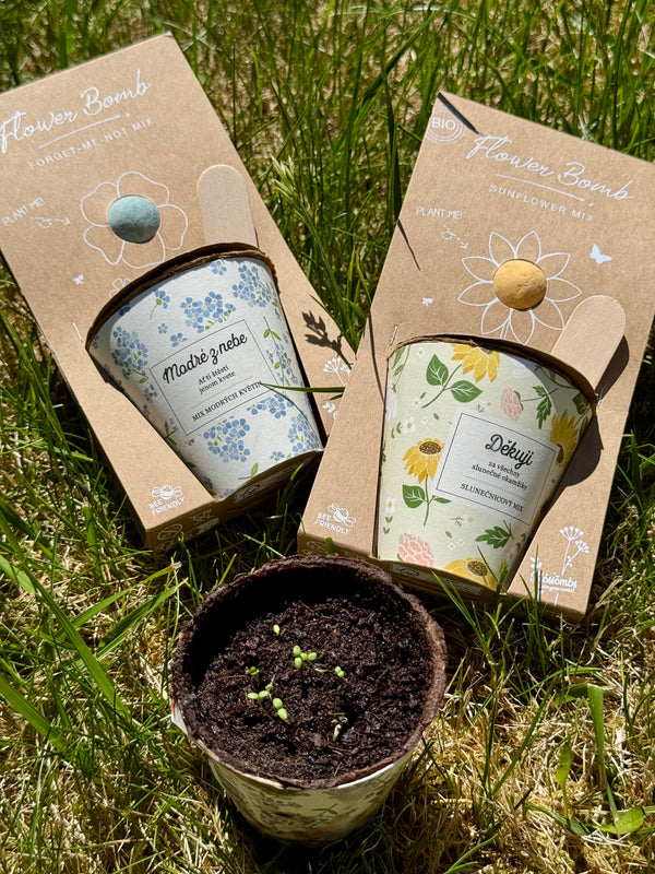 Blossombs Semínková bomba s květináčem - Modré z nebe - mix modrých květin