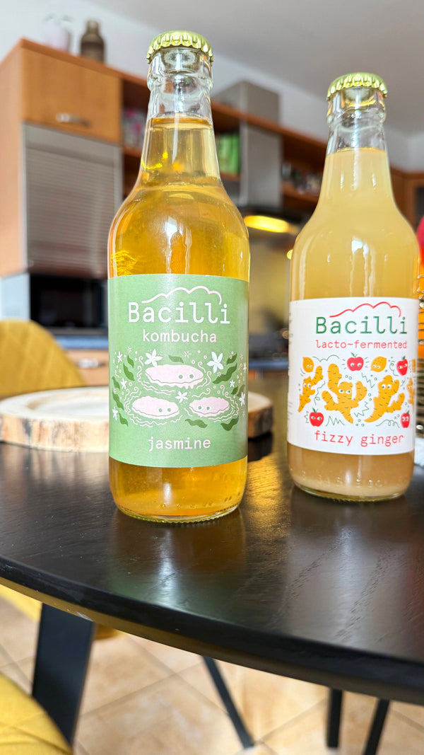 Bacilli Kombucha BIO - Jasmín (330 ml)