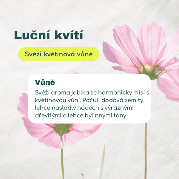 Attitude Prací gel s vůní lučních květin (1050 ml)