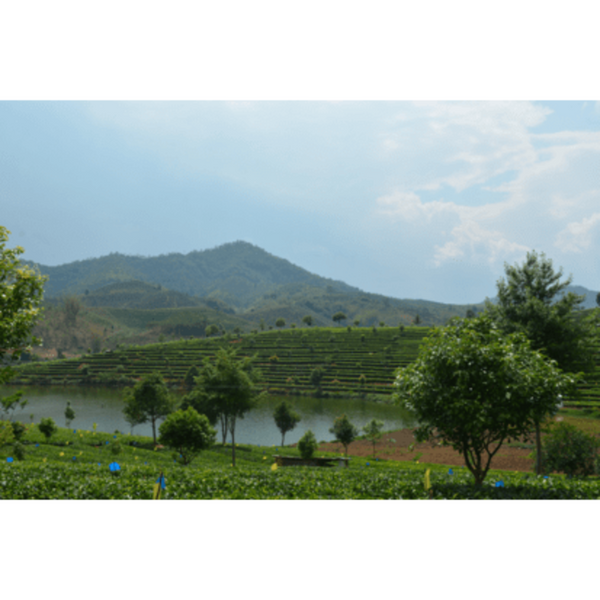 Sonnentor Černý čaj aromatizovaný Vybraný Earl Grey BIO - sypaný (90 g)