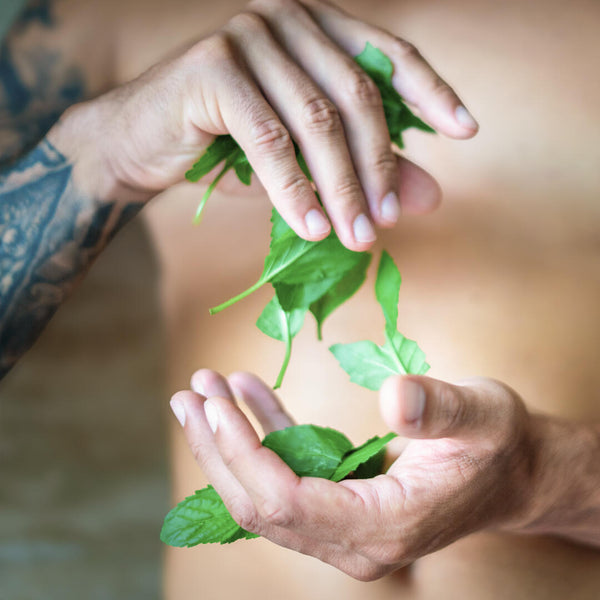 Tierra Verde Pánský sprchový gel na tělo, obličej a vlasy 3v1 - Energie máty